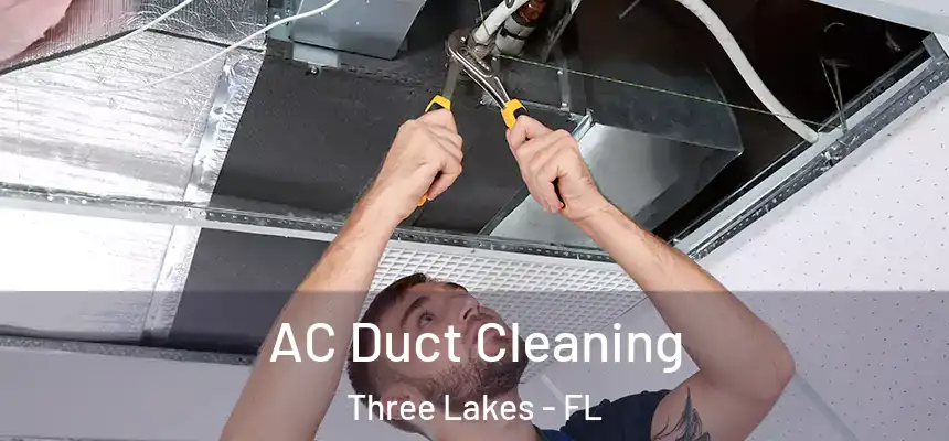 AC Duct Cleaning Three Lakes - FL