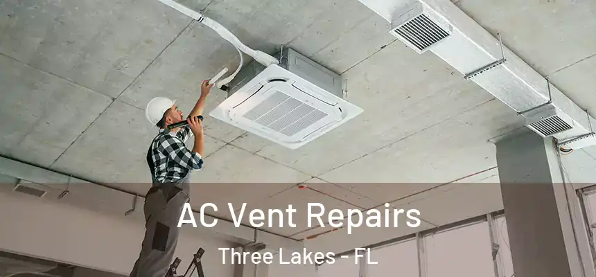 AC Vent Repairs Three Lakes - FL