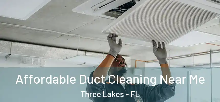 Affordable Duct Cleaning Near Me Three Lakes - FL