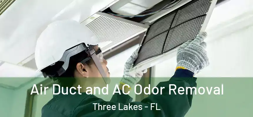 Air Duct and AC Odor Removal Three Lakes - FL
