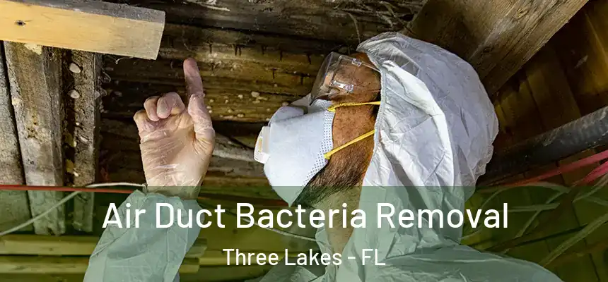 Air Duct Bacteria Removal Three Lakes - FL