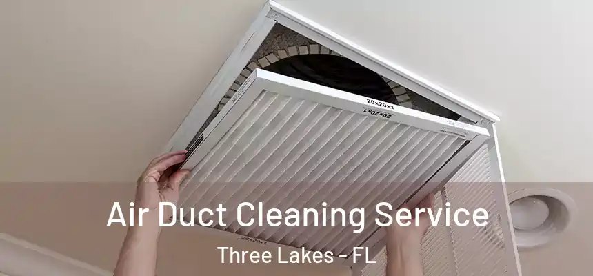 Air Duct Cleaning Service Three Lakes - FL