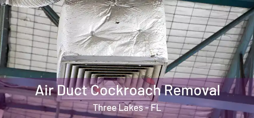 Air Duct Cockroach Removal Three Lakes - FL