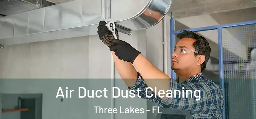 Air Duct Dust Cleaning Three Lakes - FL