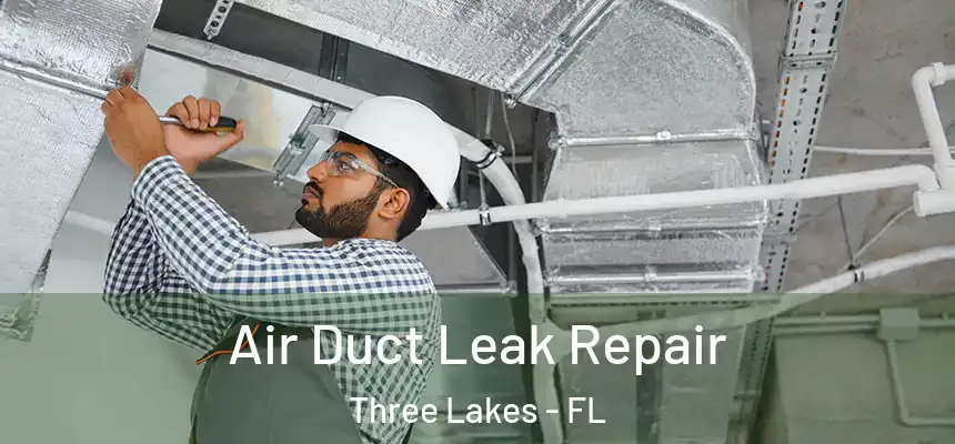 Air Duct Leak Repair Three Lakes - FL