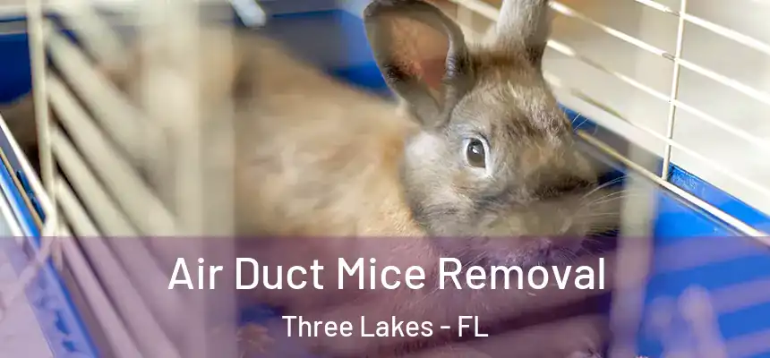 Air Duct Mice Removal Three Lakes - FL