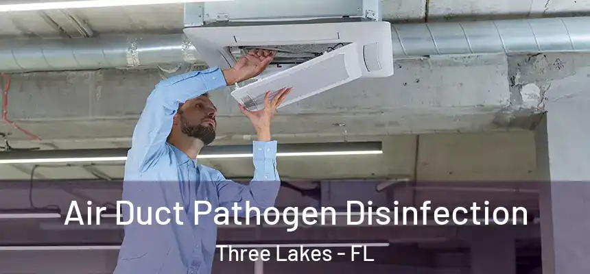 Air Duct Pathogen Disinfection Three Lakes - FL