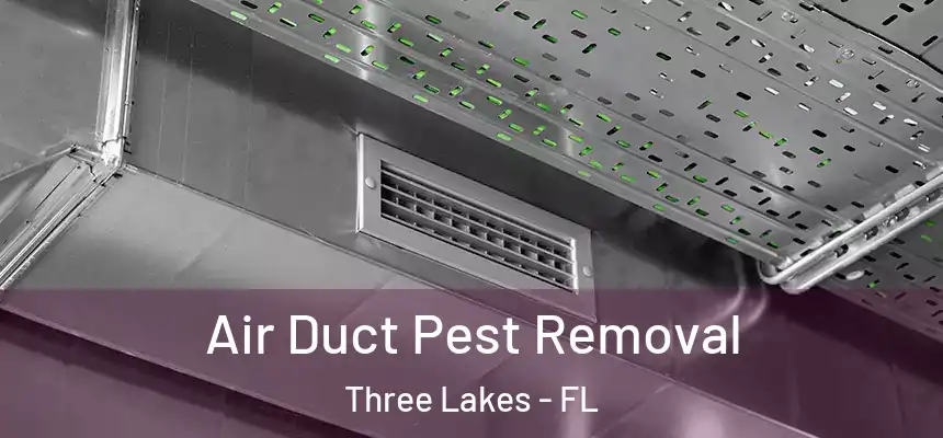 Air Duct Pest Removal Three Lakes - FL