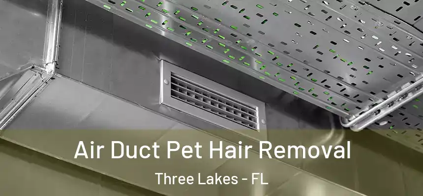 Air Duct Pet Hair Removal Three Lakes - FL