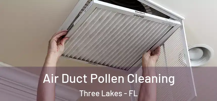 Air Duct Pollen Cleaning Three Lakes - FL