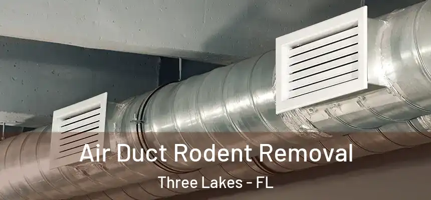 Air Duct Rodent Removal Three Lakes - FL