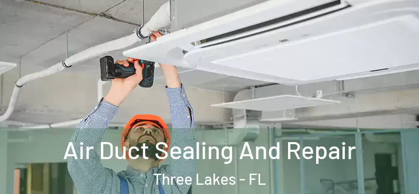 Air Duct Sealing And Repair Three Lakes - FL