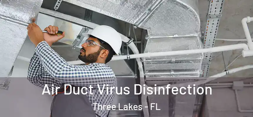 Air Duct Virus Disinfection Three Lakes - FL