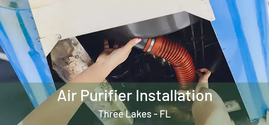 Air Purifier Installation Three Lakes - FL