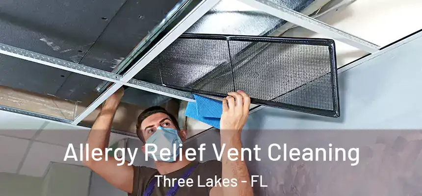 Allergy Relief Vent Cleaning Three Lakes - FL