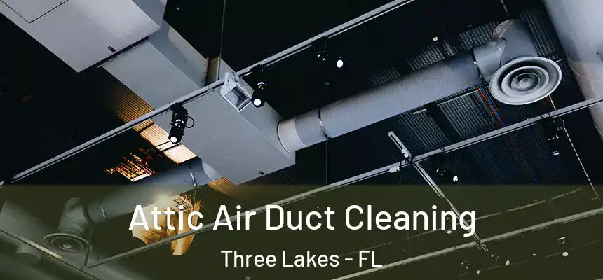 Attic Air Duct Cleaning Three Lakes - FL