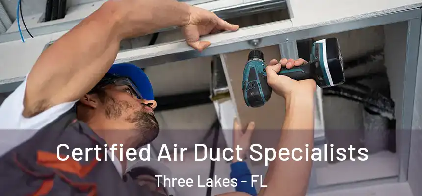 Certified Air Duct Specialists Three Lakes - FL