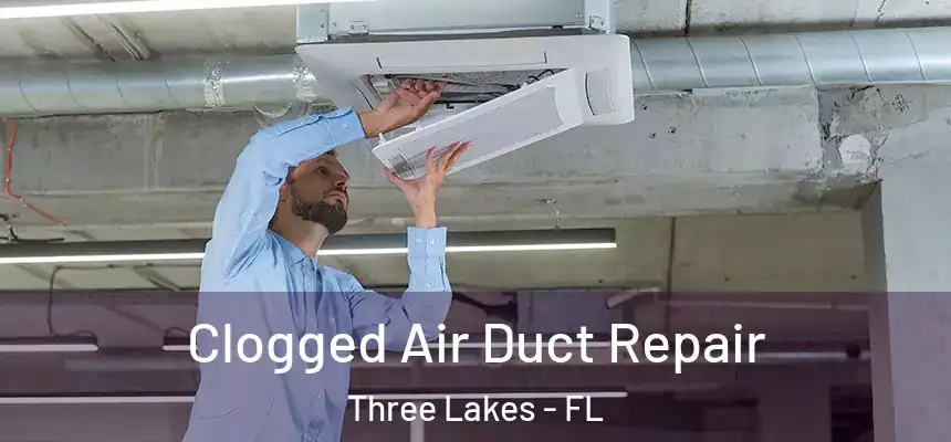Clogged Air Duct Repair Three Lakes - FL
