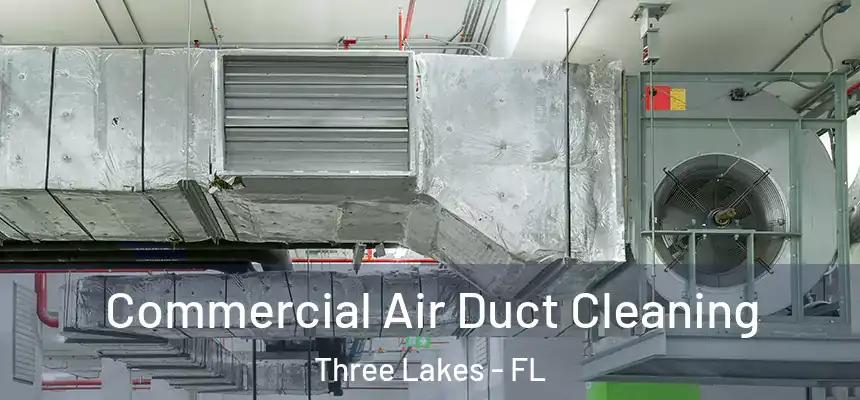 Commercial Air Duct Cleaning Three Lakes - FL