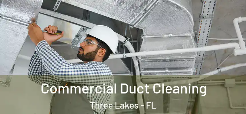 Commercial Duct Cleaning Three Lakes - FL