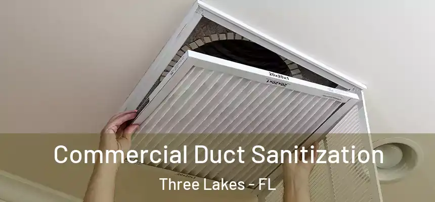 Commercial Duct Sanitization Three Lakes - FL