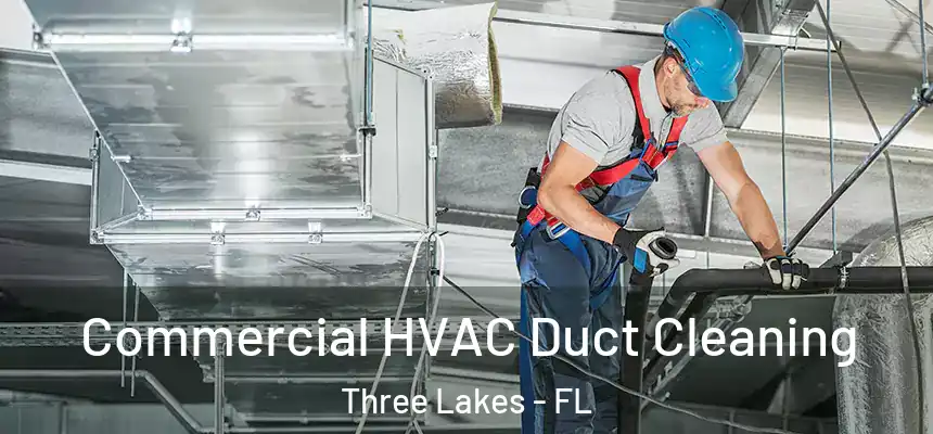 Commercial HVAC Duct Cleaning Three Lakes - FL