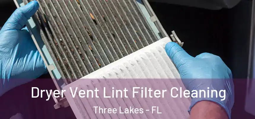 Dryer Vent Lint Filter Cleaning Three Lakes - FL