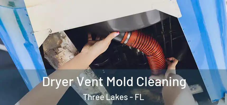 Dryer Vent Mold Cleaning Three Lakes - FL