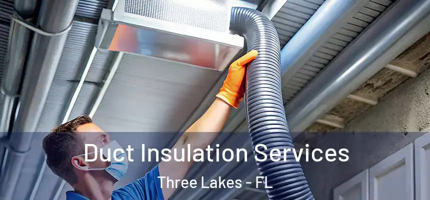 Duct Insulation Services Three Lakes - FL