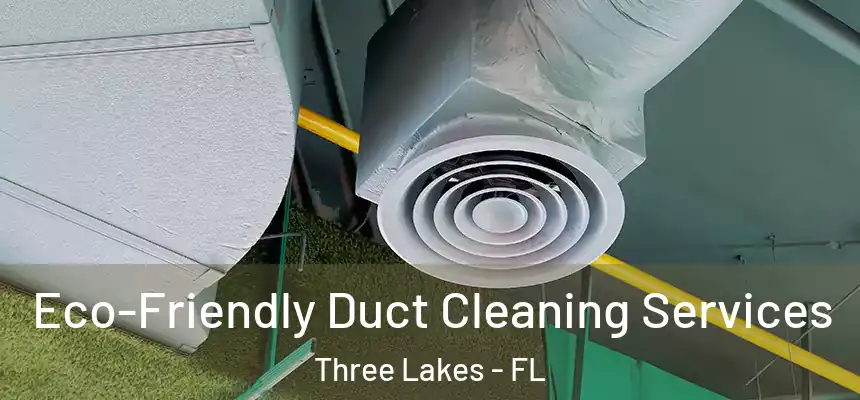 Eco-Friendly Duct Cleaning Services Three Lakes - FL