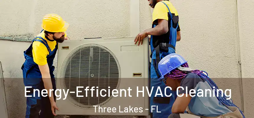 Energy-Efficient HVAC Cleaning Three Lakes - FL