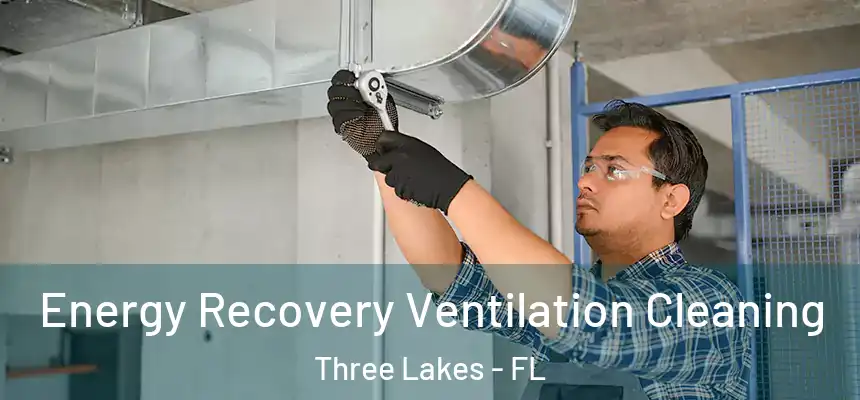 Energy Recovery Ventilation Cleaning Three Lakes - FL