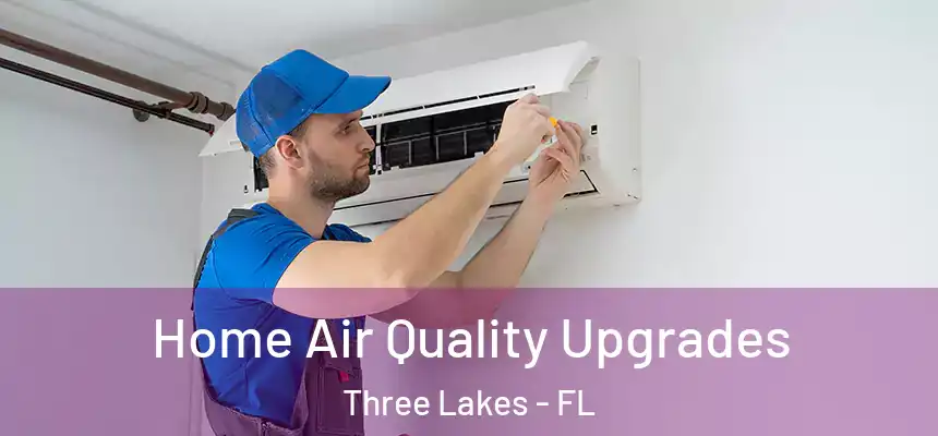 Home Air Quality Upgrades Three Lakes - FL