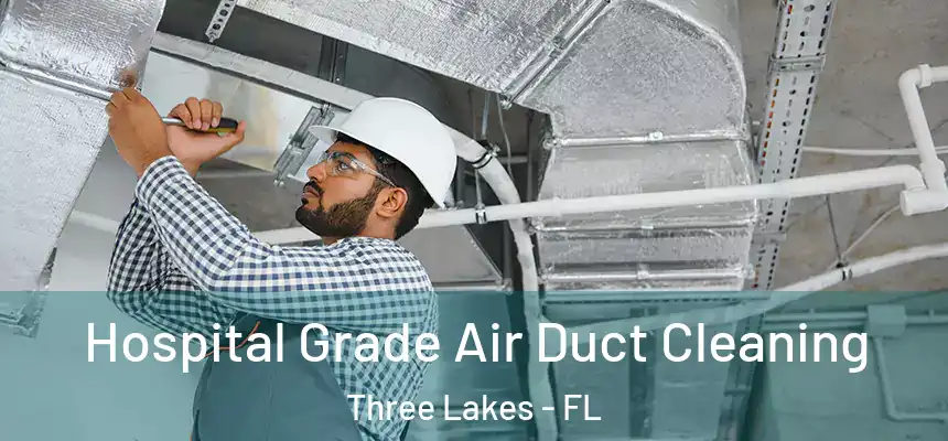 Hospital Grade Air Duct Cleaning Three Lakes - FL