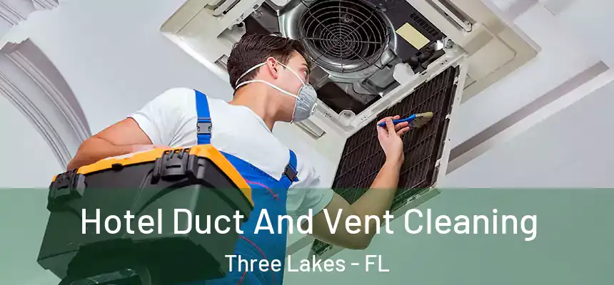 Hotel Duct And Vent Cleaning Three Lakes - FL