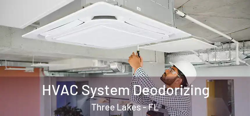 HVAC System Deodorizing Three Lakes - FL