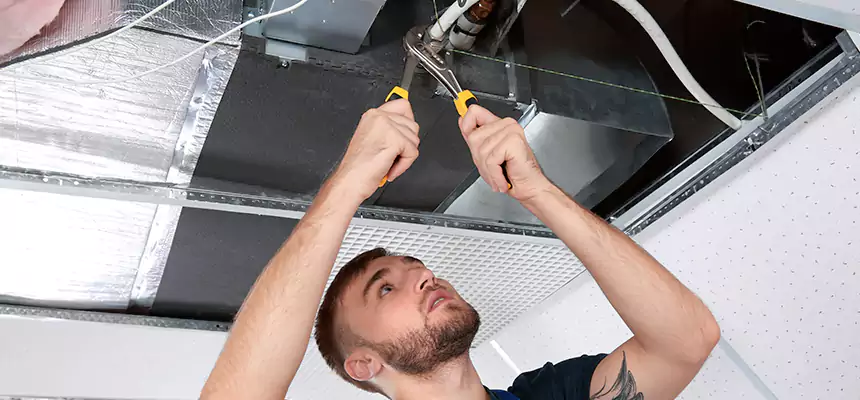 Targeted HVAC Coil & Plenum Commercial Duct Sanitization in Three Lakes