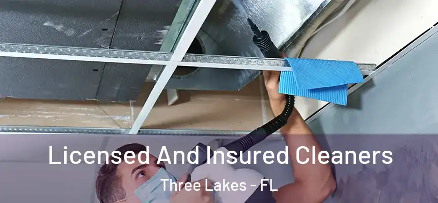 Licensed And Insured Cleaners Three Lakes - FL