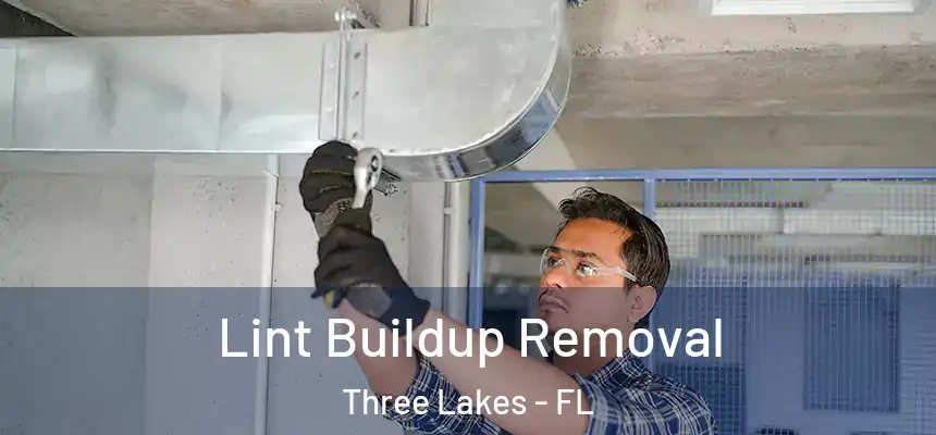 Lint Buildup Removal Three Lakes - FL