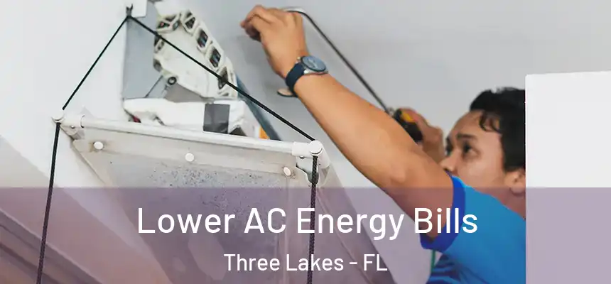 Lower AC Energy Bills Three Lakes - FL