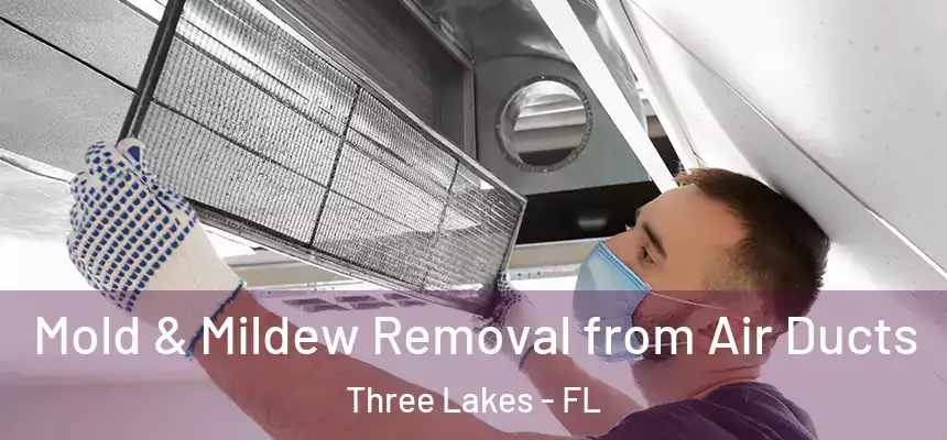 Mold & Mildew Removal from Air Ducts Three Lakes - FL