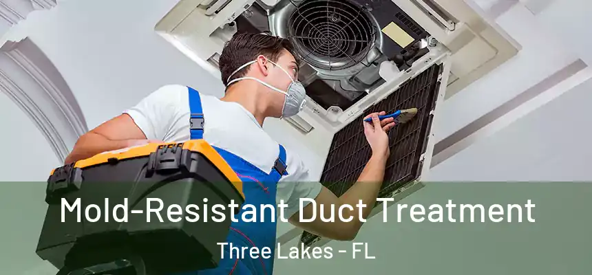 Mold-Resistant Duct Treatment Three Lakes - FL