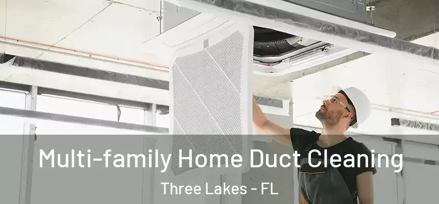 Multi-family Home Duct Cleaning Three Lakes - FL