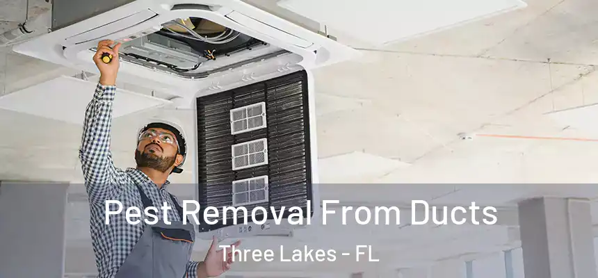 Pest Removal From Ducts Three Lakes - FL