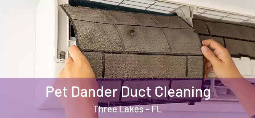 Pet Dander Duct Cleaning Three Lakes - FL