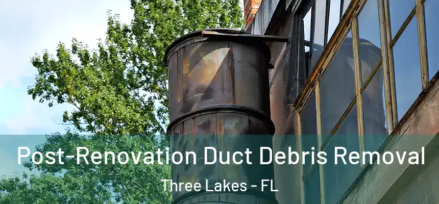 Post-Renovation Duct Debris Removal Three Lakes - FL