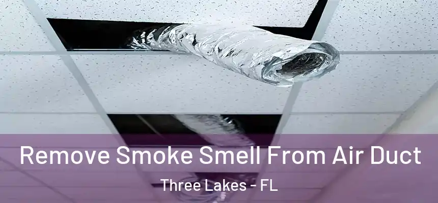 Remove Smoke Smell From Air Duct Three Lakes - FL