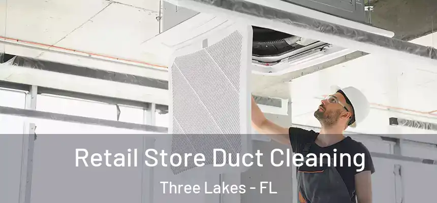 Retail Store Duct Cleaning Three Lakes - FL