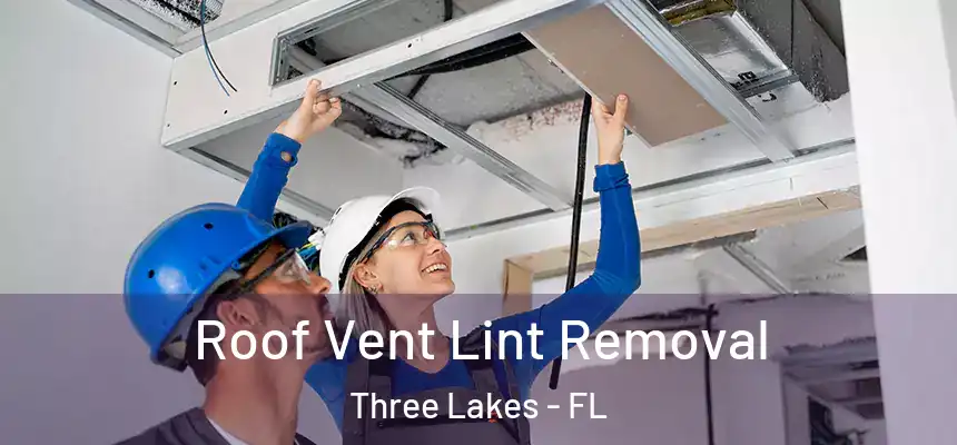Roof Vent Lint Removal Three Lakes - FL