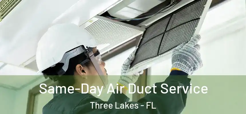 Same-Day Air Duct Service Three Lakes - FL
